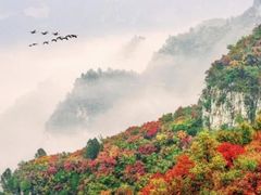 -东莞植物园