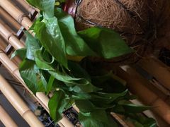 -热度餐厅(老佛爷店)