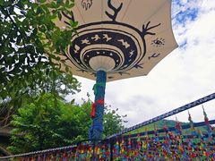 -西双版纳原始森林公园