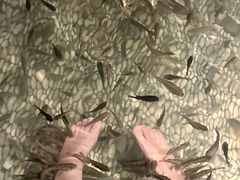 -明谷行馆·温泉