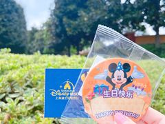 -上海迪士尼度假区