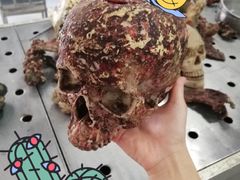 -清风小镇闯关东影视基地