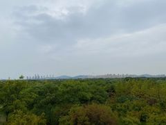 -贡湖湾湿地公园