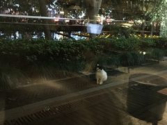 -星巴克(西湖天地店)