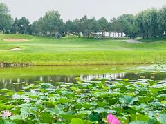 -龙熙温泉高尔夫俱乐部