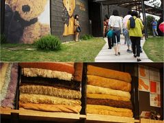 -济州岛泰迪熊博物馆