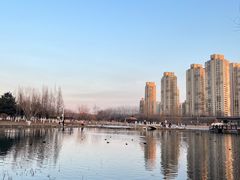 -前关湿地公园