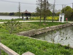 -广富林郊野公园