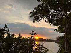 -水濂山森林公园