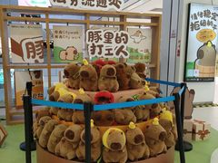 -凯德MALL(西直门店)