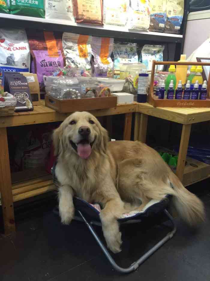 打分 说实话还不错的一家宠物店,我们家狗狗一直在那里打理,现在都3岁