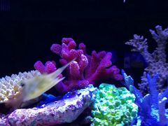 -上海海洋水族馆