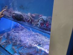 -老虎滩大连海鲜烧烤(建邺云锦路总店)