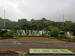 -深圳野生动物园