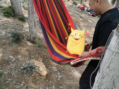 -天津武清北运河郊野公园房车露营地