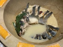 -滇小鱼·云南野生菌火锅(上杭路店)