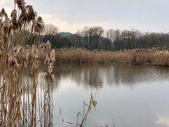 -西湖风景区-江洋畈生态公园