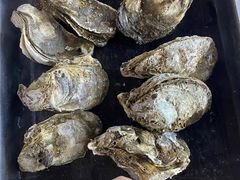 -土蚝·高压锅生蚝(百姓美食街店)