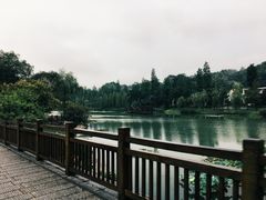 -常德桃花源景区