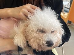 -怪兽屋·羊驼·猫咖·狗咖(俊华广场店)