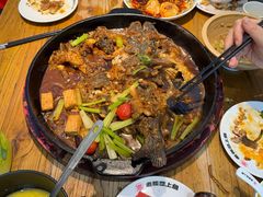 -老板恋上鱼(印象城店)