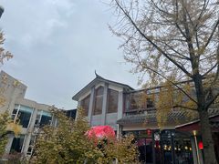 -九尺赵老四鲜鹅肠火锅