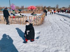 -绿野森林乐园冰雪季
