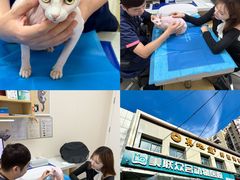 -美联众合爱康动物医院•复杂内科•肿瘤科•牙科•腔镜诊疗中心