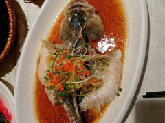 清蒸鲈鱼-阿英煲(凉城路店)
