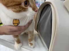 -瑞鹏宠物医院·普外科·影像科·皮肤科(城市山谷分院)