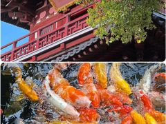 -寒山寺