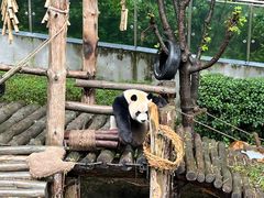 -黔灵山公园