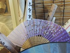 -楼上猫咖(罗湖店)
