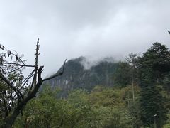 -峨嵋山金顶