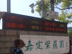 -嘉定紫藤园