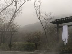 -汤山温泉房车营地 茶温泉