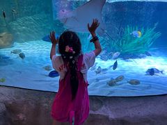 -沈阳海洋探索中心