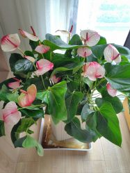 -吾之瑜生瑜伽普拉提学院