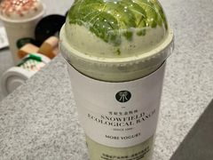 -茉酸奶(春熙路店)