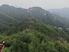 -大岭沟猕猴桃谷风景区