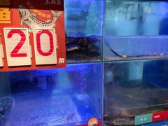 -鱼酷活鱼烤鱼(南京水游城店)