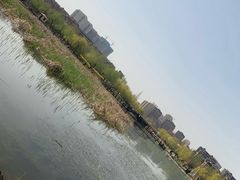 -前关湿地公园