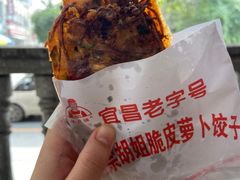 -半月镰胡姐脆皮萝卜饺子