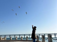 -黑石礁公园