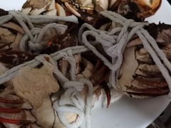 -黄记大闸蟹专卖店·活蟹·醉蟹