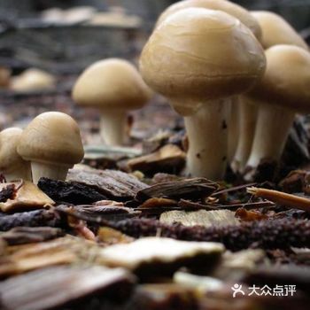 好吃不胖的食物还真有!