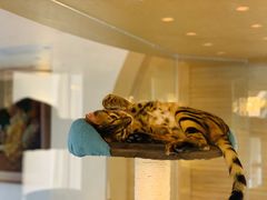 -Me Coffee下午茶艺术空间