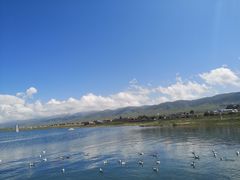 -青海湖国家重点风景名胜区