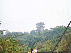 -张坝桂圆林公园