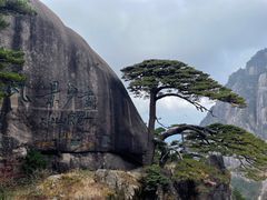 -黄山风景区